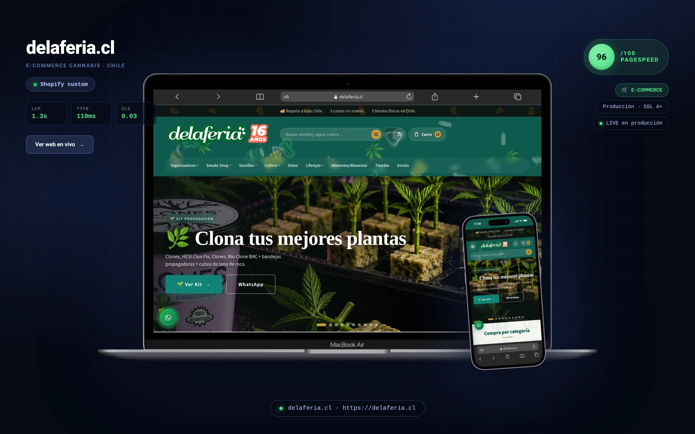 delaferia.cl